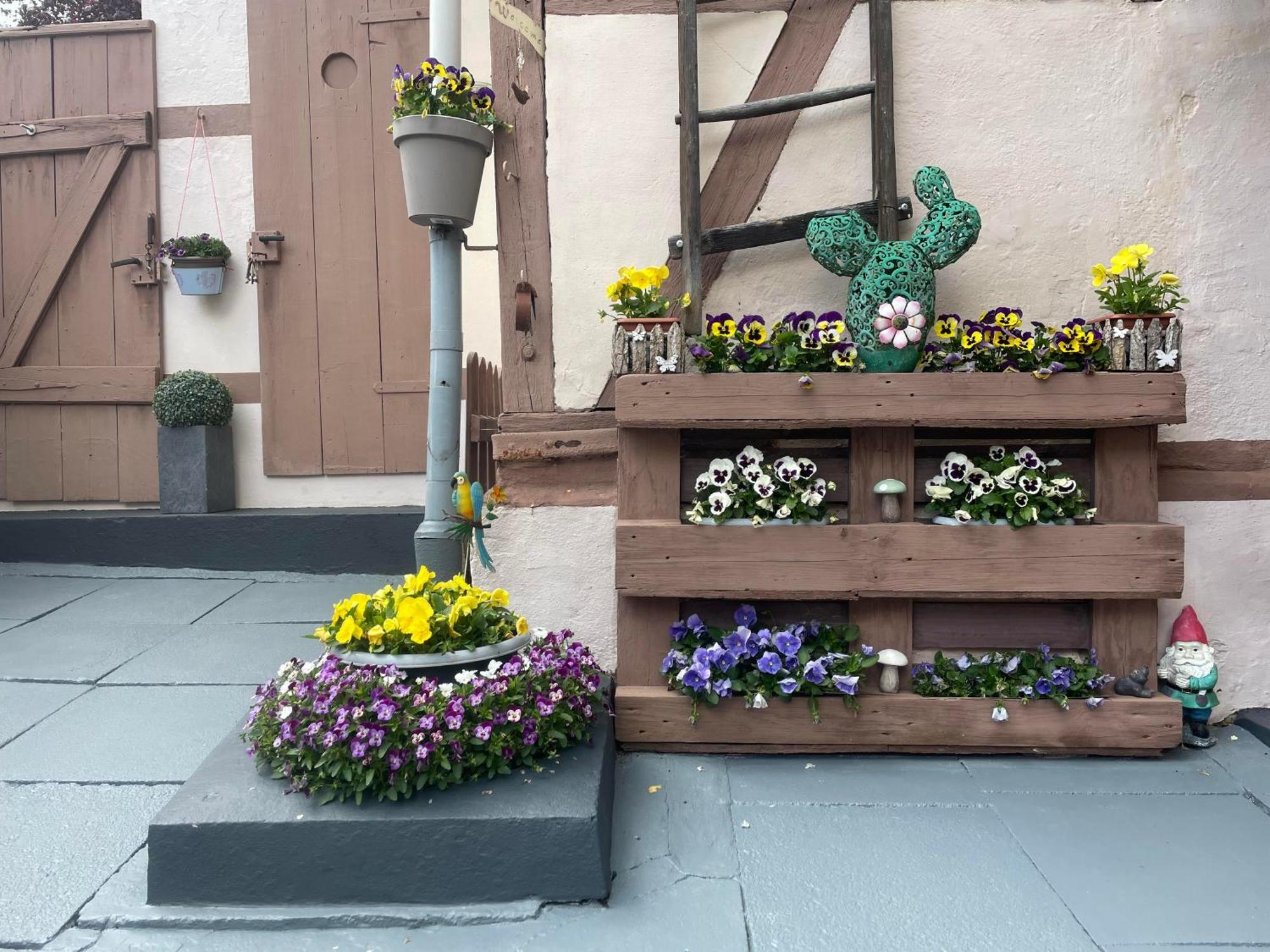 Ferienhaus Belkot Bad Sachsa Bagian luar foto